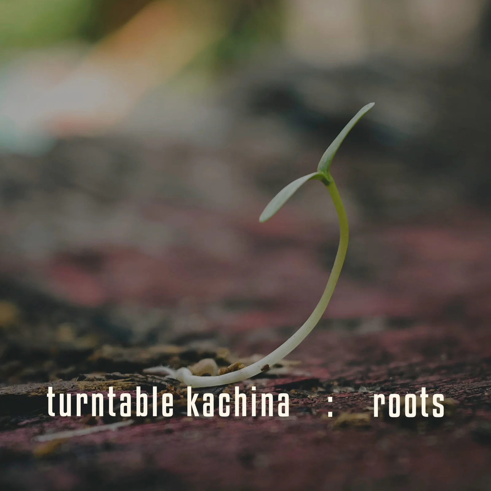 Roots cover artwork
